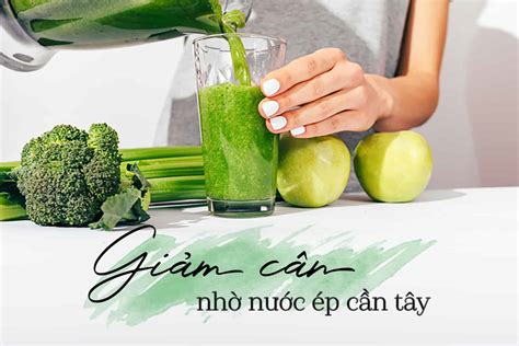 Cần tây giảm cân: Thân hình thon gọn chỉ trong tương lai gần! • Hello Bacsi