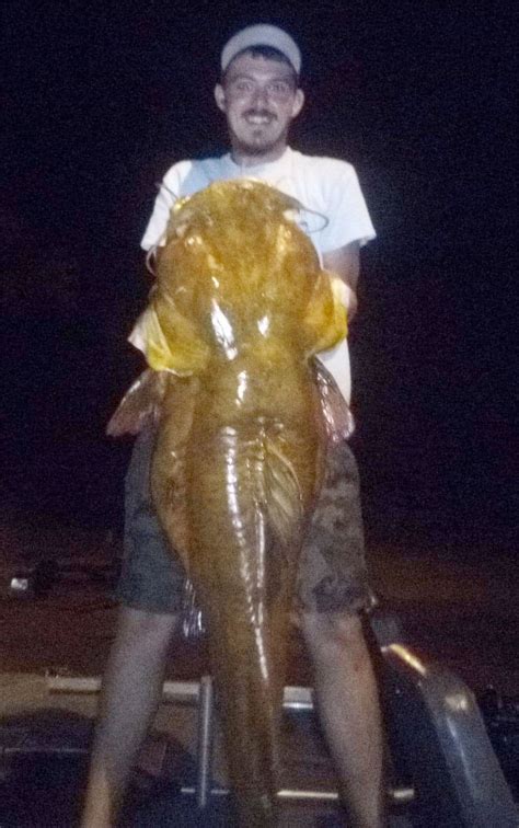 Fwc Certifies New State Record Flathead Catfish Coastal Angler And The