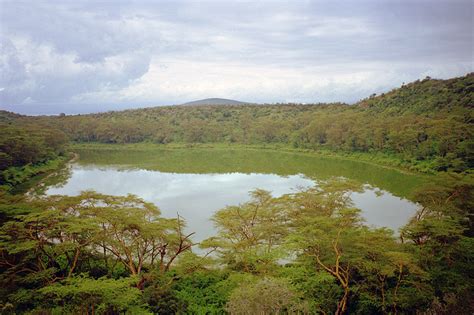 Lake Nakuru National Park And Naivasha Kenya Travel Photos — Hey Brian