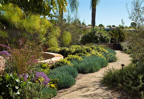 San Diego Drought Tolerant Landscape Contemporáneo Jardín San
