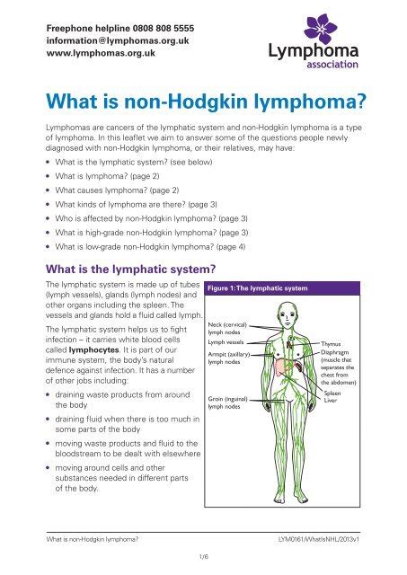 What Is Non Hodgkin Lymphoma Lymphoma Association