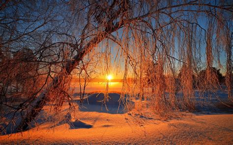 Nature Sky Sun Winter Landscape Sunrise Snow Tree Hd Wallpaper