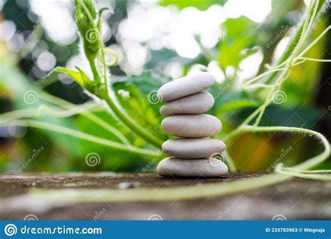Stack Pyramid Stone Zen Pebbles Nature On Cement With Blur Green Leaves