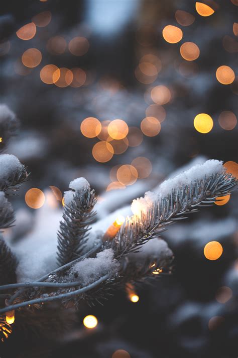 Die 55 Besten Winter Und Weihnachten Hintergrundbilder