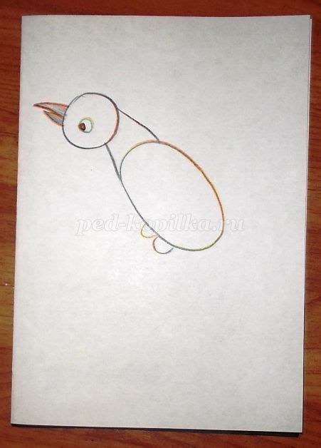 Kako Je Jednostavno Nacrtati Pticu Kako Nacrtati Ptice Selice
