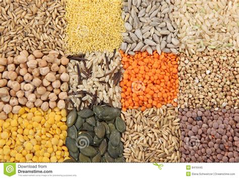 Various Seeds And Grains Royalty Free Stock Photo - Image: 8416445