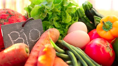 À VRAI DIRE #2 – Alimentation, quelles solutions pour manger sain ? | ODIL