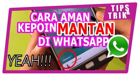 Tips Cara Melihat Status Mantan Di WhatsApp Tanpa Diketahui AMAN