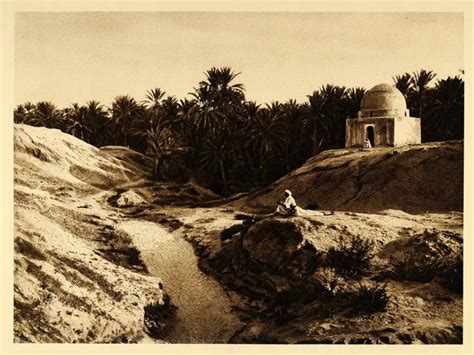 1924 Nafta Nefta Oasis Tunisia Palms Lehnert Landrock Original Naf2