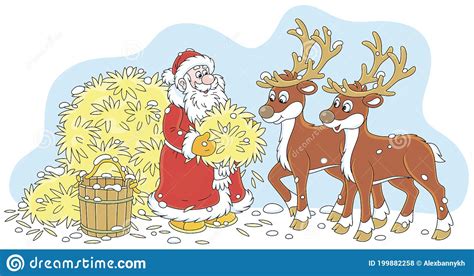 santa feeding his reindeer with hay stock vector illustration of fare claus 199882258