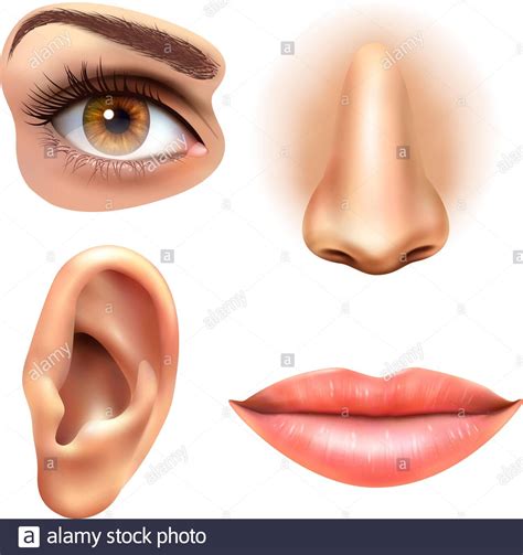 Human Face Parts Sense Organs Icons Square Collection Of Eye Nose Mouth And Ear Realistic