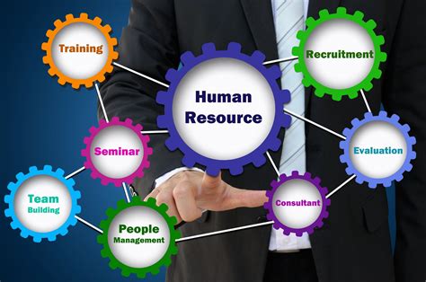 Hr Support And Payroll Service Ora Consultancy