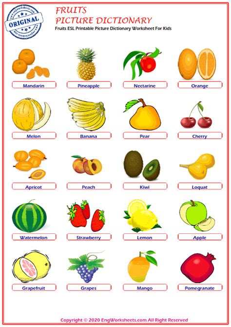 Fruits Printable English Esl Vocabulary Worksheets 1 Engworksheets