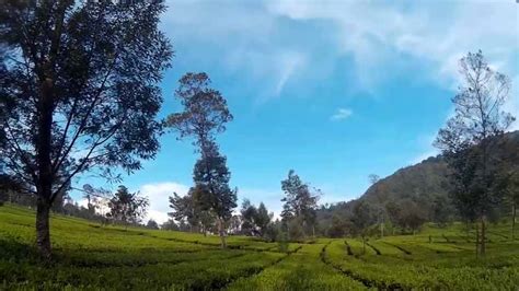 13 Tempat Wisata di Wonosobo Selain Dieng Yang Paling 