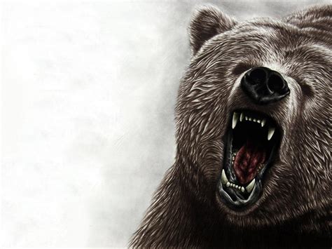 19 Grizzly Bear Iphone Wallpaper Bizt Wallpaper