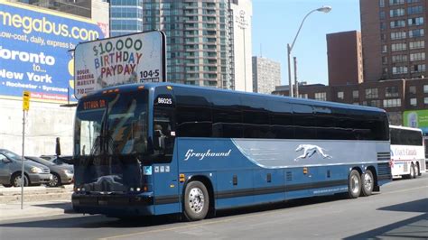 Greyhound Ship Greyhound Settles With Department Of Justice Over Ada