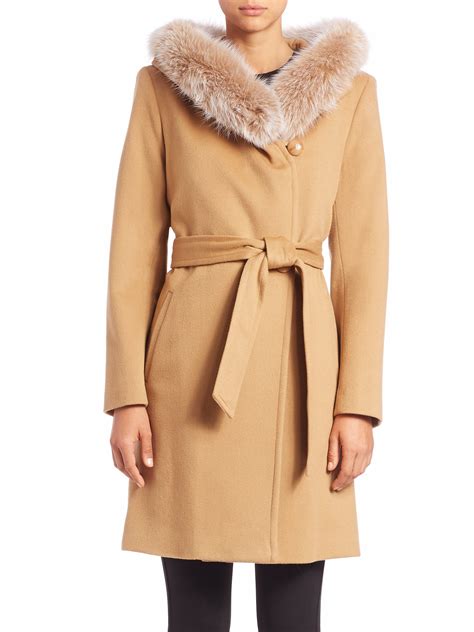 Sofia Cashmere Wool And Cashmere Fur Trimmed Hooded Short Wrap Coat In