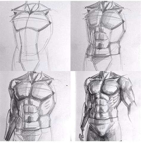 Learn To Draw A Male Torso Step By Step Reference Guide For Beginners Dessin Corps Tutoriel