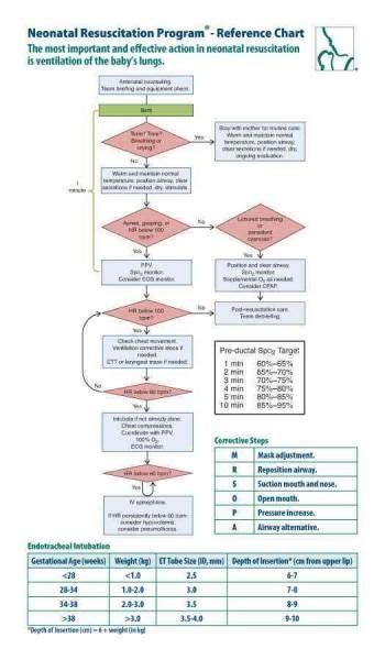 Neonatal Resuscitation Program Reference Chart Pediatrics Science