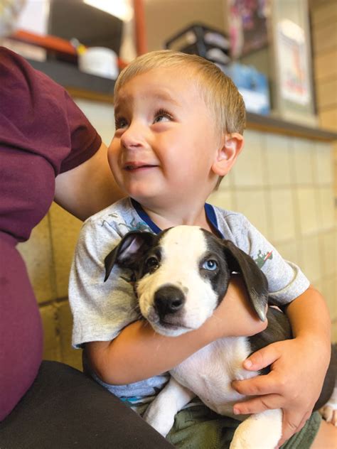 Two Year Old Adopts Shelter Dog With Same Birth Defect “they Instantly