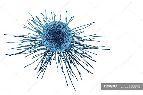 Cancer Cell Structure And Shape — Illness White Stock Photo 167534586