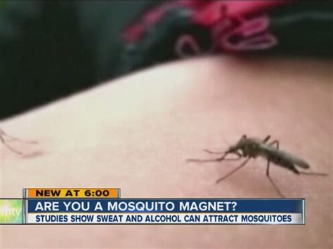Are You A Mosquito Magnet