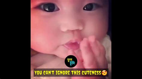 You Cannot Ignore This Cuteness 😘😍 Youtube