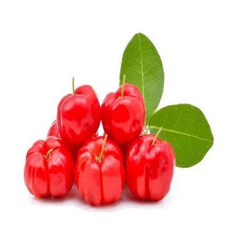 Acerola Cherry Guarani Cherry Barbados Cherry West Indian Cherry