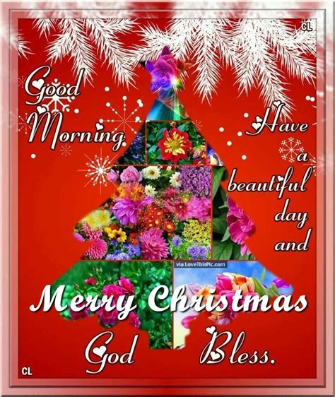 Good morning merry friday god lovethispic offers good morning, have yourself a merry little christmas pictures, photos & images, to be used on facebook, tumblr, pinterest, twitter. Good Morning Merry Christmas God Bless Pictures, Photos ...