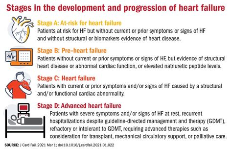 How The Heart Works Heart Failure Foundation Vrogue Co