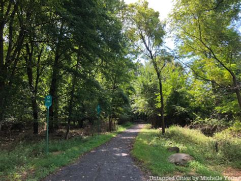 The Top 12 Nyc Nature Trails For Fall And Year Round Exploration