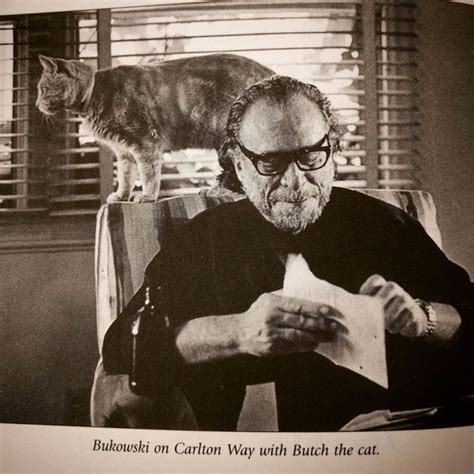 Charles Bukowski On Cats Meditations On Home Belonging And All Things