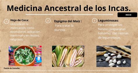 Medicina Ancestral De Los Incas