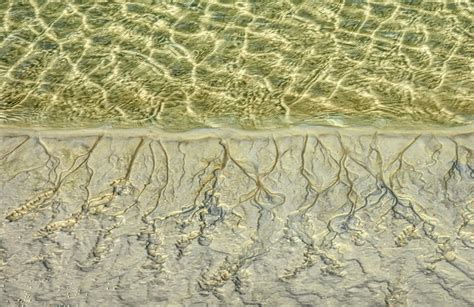 Lines In The Sand Photograph By Lori Vetter Photography Fine Art America