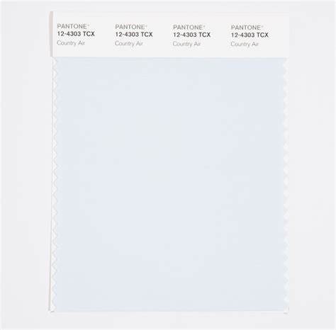 Pantone Cotton Swatch 12 4303 Country Air 849572034859 Ebay