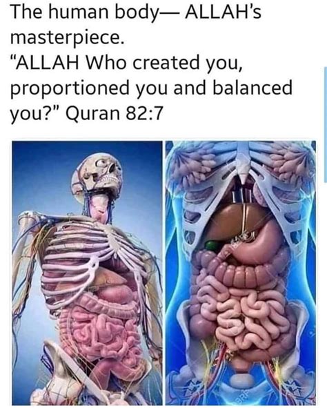 Pin By Learn Islam Online On 1 Islam Online Allah Who Created You