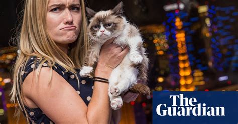 Grumpy Cats New Grumpy Book In Pictures World News The Guardian
