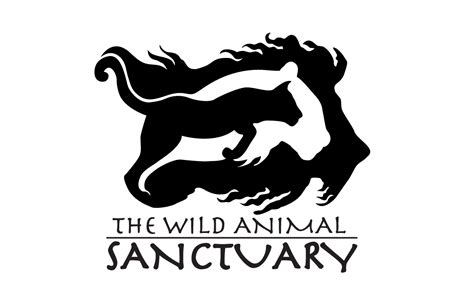Christine Enfield The Wild Animal Sanctuary Logo