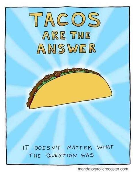 27 Taco Memes For Taco Tuesday Or Any Day The Funny Beaver Taco