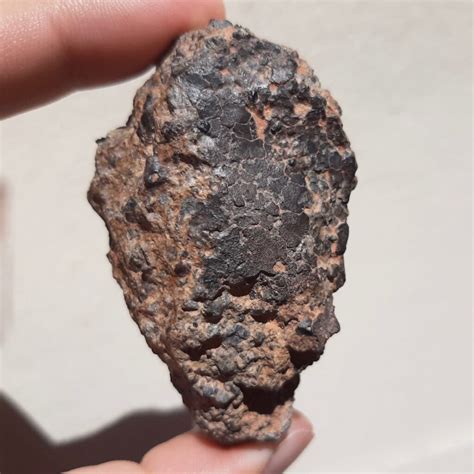 Nwa 14056 Meteorite New Diogenite From Erg Chech Region Meteolovers