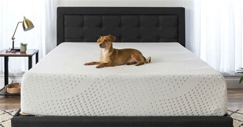 What size are twin mattresses. Twin 10" Memory Foam Mattress Only $89.99 Shipped