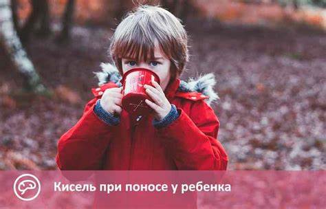 Можно при диете пить кисель