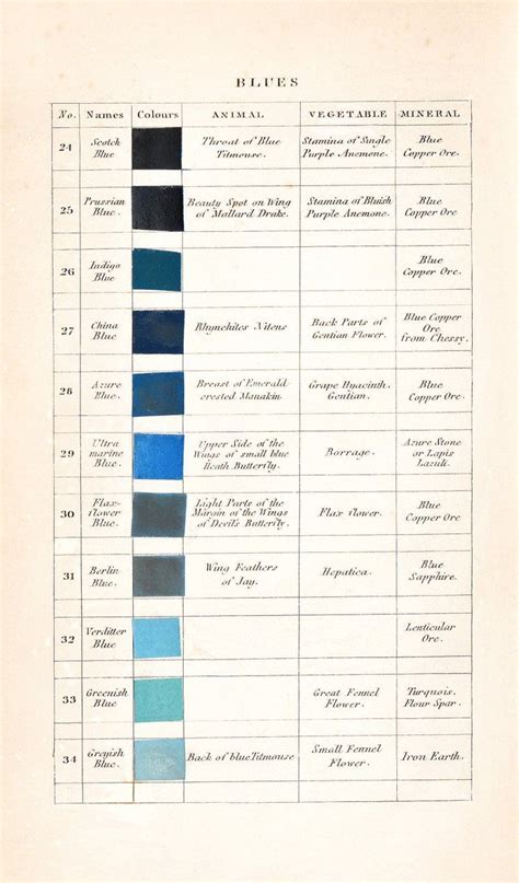 Werners Nomenclature Of Colours Adapted To Zoology Botany Chemistry