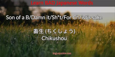 This should help you : Learn Top 15 Bad Japanese Words, Curses & Insults