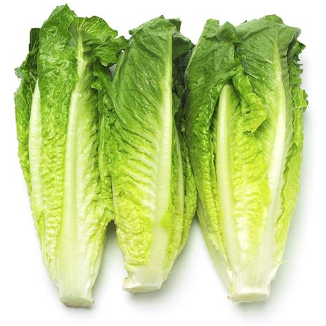 Lettuce Romaine Hearts 3 Pcs Holy Land Grocery