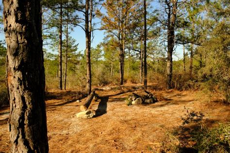 7 Best Lakes In Louisiana Swimming Boating And Recreation Wwb