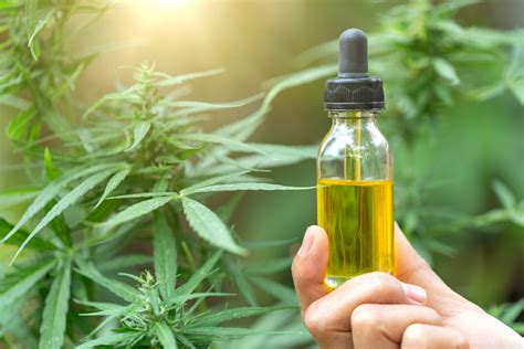 They are marketed as remedies for physical ailments, stress, mental illnesses, and insomnia. Only These 9 Cannabis Stocks Rose in July | The Motley Fool