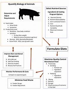 Formulating Farm Specific Swine Diets Umn Extension