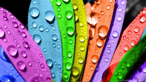 Cool Rainbow Water Wallpapers Top Free Cool Rainbow Water Backgrounds