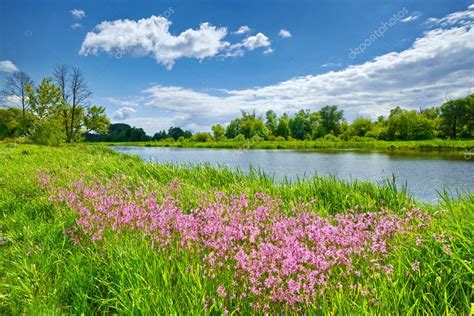 Spring Flowers River Landscape Blue Sky Clouds Countryside
